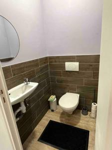 een badkamer met een toilet en een wastafel bij Le Luxembourg in Villeurbanne