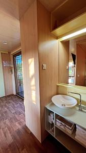 a bathroom with a sink and a mirror at MAGNOLIA HOUSE by the RIVER XL in Metlika