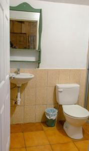 a bathroom with a toilet and a sink at Hotel de Montaña Buena Vista in Río Chiquito