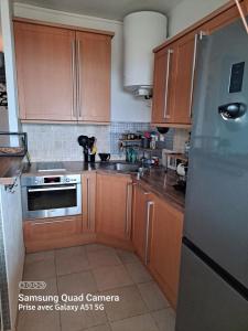 Kuchyňa alebo kuchynka v ubytovaní Super appartement vue Sanguinaires