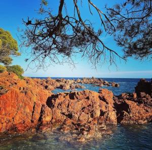 - une vue sur l'océan depuis une plage rocheuse dans l'établissement Floramarine, à Saint-Raphaël