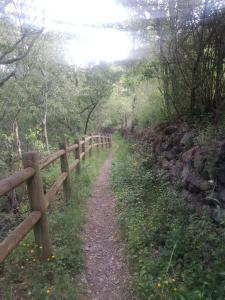 un camino de tierra junto a una valla de madera en APARTAMENT BETTY en Sort