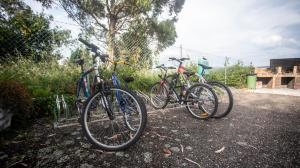 Jazda na bicykli v okolí ubytovania Estudio con piscina en A Guarda- Pontevedra