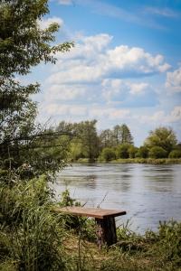 a wooden bench sitting next to a river at Agroturystyka ,, Na Zadupiu,, 