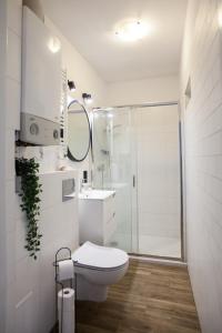 bagno bianco con servizi igienici e doccia di Cosy Apartment in Sopot a Sopot
