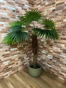 two palm trees in a pot against a brick wall at Grandera Apart`s - Melià i Fuster 23С in Valencia