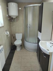 a bathroom with a shower and a toilet and a sink at Domki letniskowe in Mikołajki