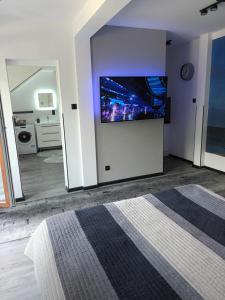 TV a/nebo společenská místnost v ubytování Basztowa Apartament