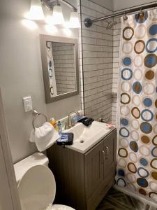 ein Badezimmer mit Waschbecken, Toilette und Spiegel in der Unterkunft Charming Farmhouse Retreat near Downtown & University Modern Amenities, Fireplace & Porch! in Birmingham