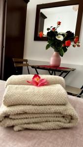 Gallery image of Ohana B&B in Marina di Camerota