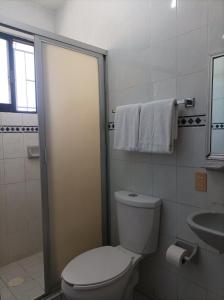 Hotel Villa Tulipanes في زيهواتانيجو: حمام مع مرحاض ومغسلة ودش