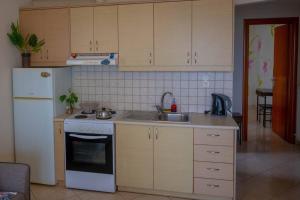 uma cozinha com um fogão, um lavatório e um frigorífico em Πράσινη πινελιά διαμέρισμα em Kissamos
