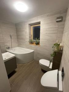 a bathroom with a tub and a toilet and a sink at Apartma Slatina in Šmartno ob Paki