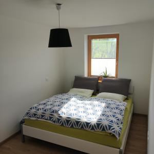 1 dormitorio con 1 cama en una habitación con ventana en Apartma Slatina en Šmartno ob Paki