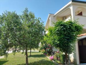 Vonkajšia záhrada v ubytovaní Apartments Vlasici