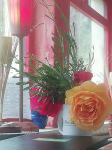 a vase with a flower sitting on a table at Appartement St Martin du Canigou in Casteil