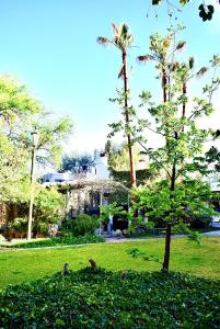 a group of birds in a park with a tree at Hotel boutique Arteaga in Arteaga