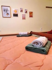 1 cama con 2 toallas en un dormitorio en Nostos House, en Nea Anjíalos