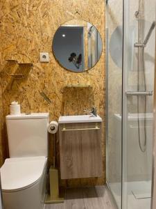 La salle de bains est pourvue de toilettes, d'un lavabo et d'un miroir. dans l'établissement Casa Pejão Do Paraíso, à Castelo de Paiva