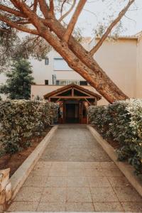 a walkway leading to a building with a large tree at Calvi. T2 2/4 personnes à 100 mètres de la plage in Calvi +11 photos