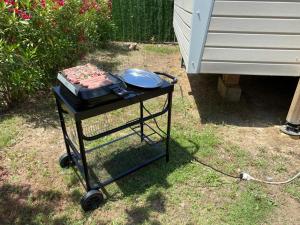 Gallery image of MobilHome de Charlotte - Camping La Falaise 4 étoiles in Narbonne-Plage