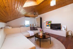 Televízia a/alebo spoločenská miestnosť v ubytovaní Vacation house Anna