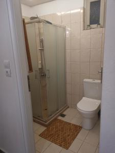 ein Bad mit einer Dusche und einem WC in der Unterkunft Four Seasons in Chania