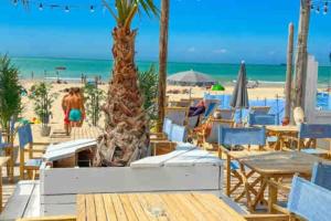 uma praia com mesas e cadeiras e uma palmeira em L’heurt d’une pause - Le Portel em Le Portel