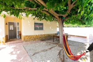 a hammock tied to a tree in front of a building at Lo Raconet de Júlia in Vinaròs +30 photos