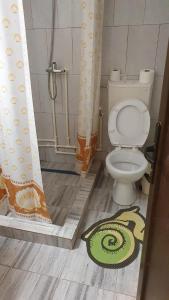 a bathroom with a toilet and a shower curtain at Casa Lucas si Rafael in 2 Mai +16 photos