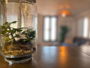 安锡Le Carnot - MyCosyApart, Duplex Cœur de Ville et Lac, climatisé的相册照片