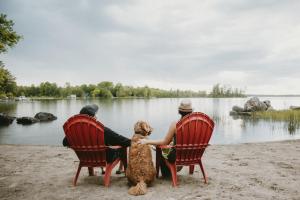 due persone e un cane seduto su sedie in riva al lago di Lakepoint Cottage Resort a Killaloe Station
