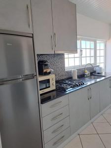 eine Küche mit einem Kühlschrank aus Edelstahl und einer Mikrowelle in der Unterkunft Nunes Apartments in Mexilhoeira da Carregacao
