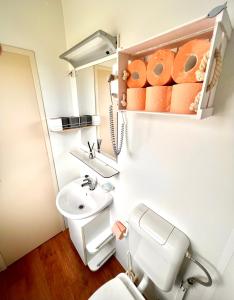 y baño con aseo y lavamanos. en Mobile home Nebo Luxus, en Klenovica