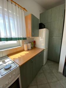 a kitchen with green cabinets and a white refrigerator at Apartman Palma in Vir +11 photos