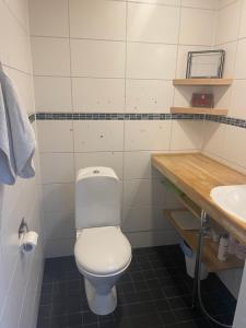 a bathroom with a white toilet and a sink at Cozy Blue Apartment in Vantaa