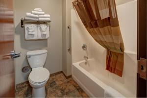 een badkamer met een toilet, een bad en een douche bij Creekside Lodge at Custer State Park Resort in Custer