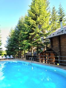 a large swimming pool next to a log cabin at Gostynniy Dvir Коттеджи in Migovo