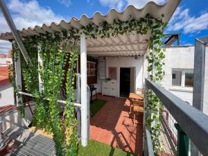 a pergola covered in ivy on a house at El ático de Madrid, vistas a la ciudad in Madrid