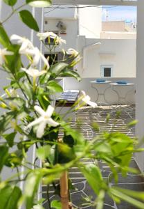 Fotografie z fotogalerie ubytování Casa Centrale 2 v destinaci Apollonia