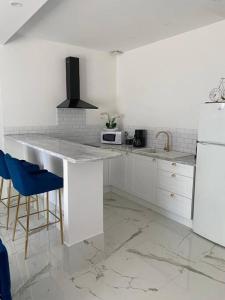 a white kitchen with a counter and a white refrigerator at Hortillonne in Amiens