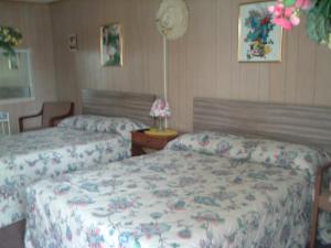 Patras Grand Beach Motel في أولد أوركاد بيتش: غرفة نوم بسريرين وطاولة بها مصباح