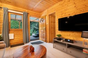 A television and/or entertainment centre at Chillout Apartman Noszvaj