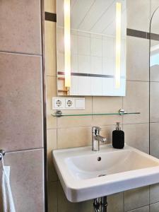 a bathroom with a sink and a mirror at Bavaria Home: Terrasse, Küche, Netflix in Wolnzach