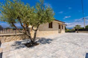 a tree in a courtyard next to a building at Luxury Villa Petros in Malinska