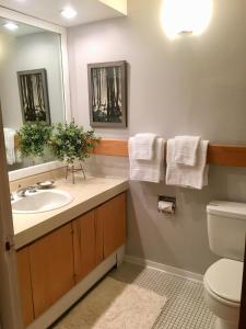 a bathroom with a sink and a toilet and a mirror at Notchbrook 2AB in Stowe