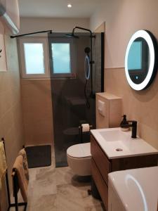 ein Badezimmer mit einem WC, einem Waschbecken und einem Spiegel in der Unterkunft Rustic Holiday Home - Artatore in Mali Lošinj