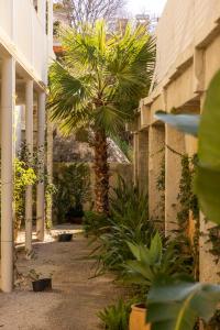 a palm tree in the courtyard of a building at Pátio do Tijolo in Lisbon