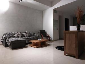 a living room with a cat laying on a couch at Ioa Loft in Ioannina