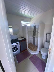 Baño pequeño con aseo y lavamanos en Jorsen House Tahiti 2 : bungalow confortable, en Taravao